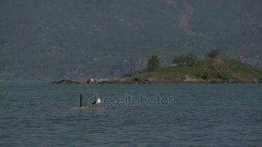 Norveç fjordslake görünümü