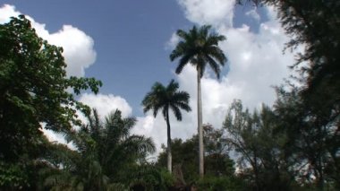 Casino Campeste park sahne,