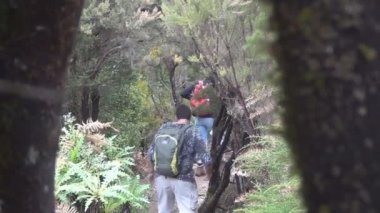 insanlar dağlarda yürüyüş