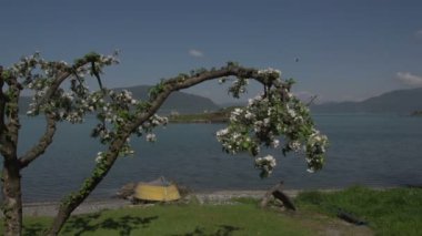 Norveç fjordslake görünümü