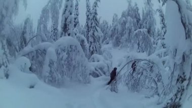 Ormandan yürüyen turist