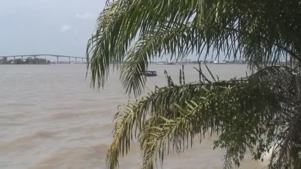 Flugzeugflug über Paramaribo — Stockvideo