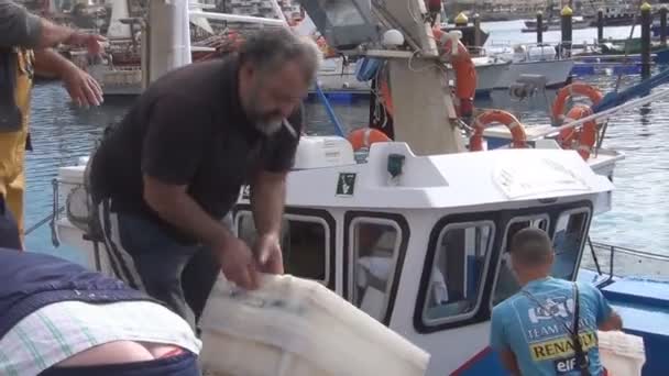 Mercado da pesca em Sri Lanka — Vídeo de Stock