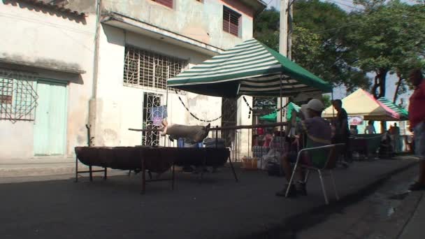 Mężczyzn, grillowanie świnia na rożnie — Wideo stockowe