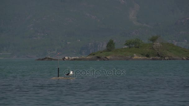 Norsko fjordslake zobrazení — Stock video