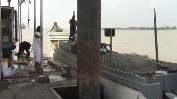 Materiał Surinamu Port Fishingboat — Wideo stockowe