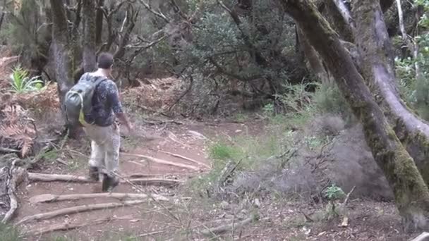Spaceru ludzi w górach — Wideo stockowe