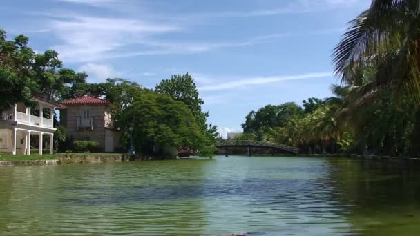 Parque con estanque y puente — Vídeos de Stock