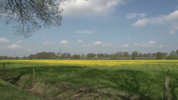 Noorwegen bergen landschap — Stockvideo