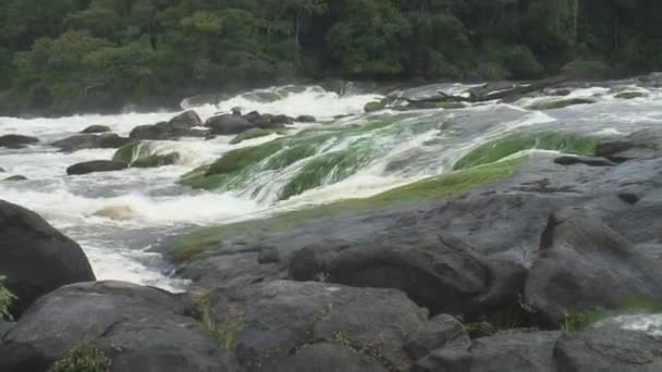 Кадры Суринама Озера Палумеу Водопада — стоковое видео