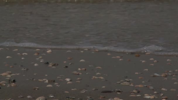 Ondas no mar do Norte — Vídeo de Stock