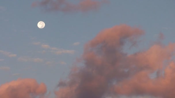 Media luna en el cielo nocturno — Vídeos de Stock