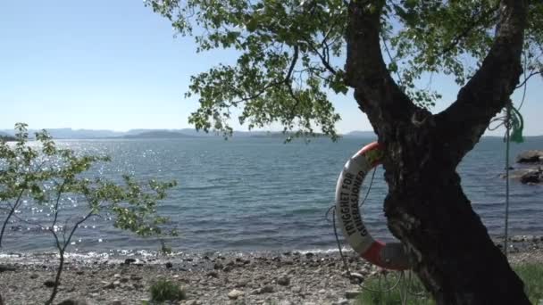 Vagues à la mer du Nord — Video