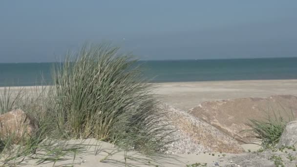 海滩上希茨海尔斯沙丘的片段 — 图库视频影像