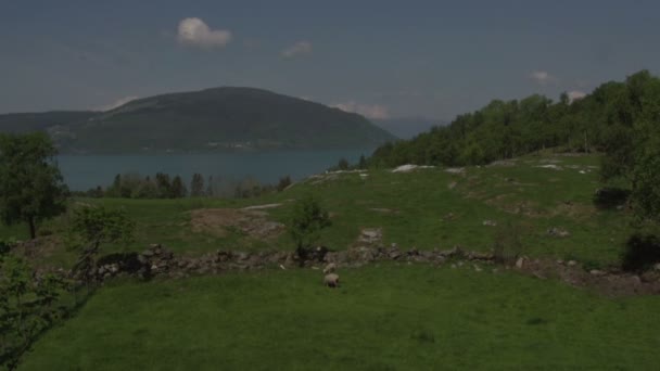 Fiordes do lago Noruega — Vídeo de Stock