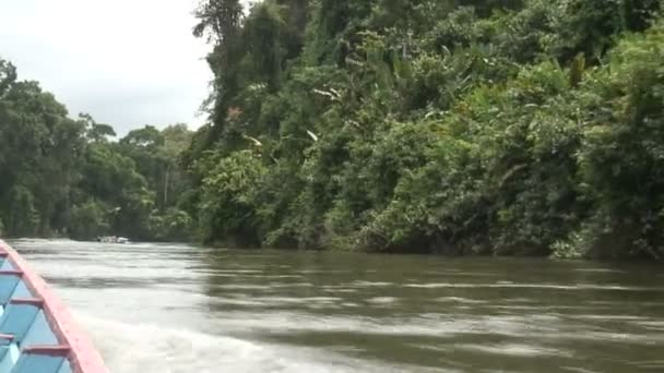 Filmación Surinam Lago Palumeu Grupo Turistas Barco — Vídeos de Stock