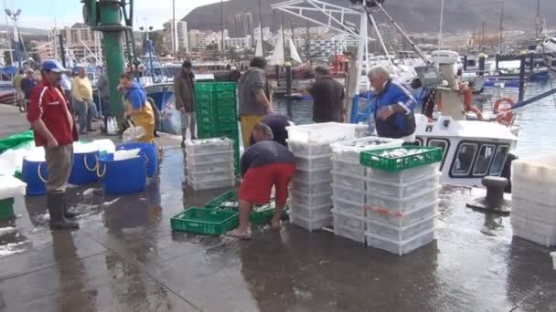 Mercado da pesca em Sri Lanka — Vídeo de Stock