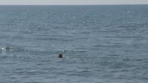 在海中浮潜的人 — 图库视频影像