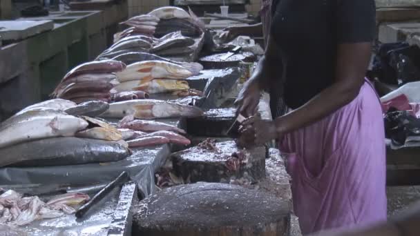 Filmación Surinam Mercado Paramaribo — Vídeo de stock