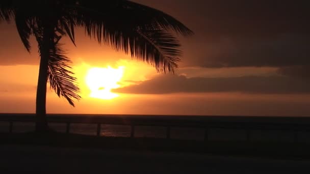 Nascer do sol incrível em Cuba — Vídeo de Stock