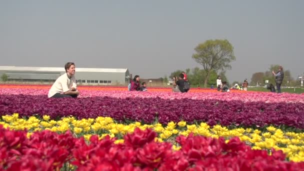 Lidí, kteří jdou na kvetoucích polí — Stock video