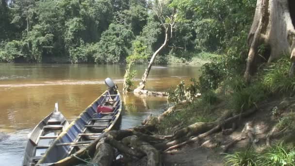 На реке Большой Рио — стоковое видео