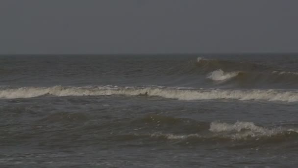 Vagues à la mer du Nord — Video