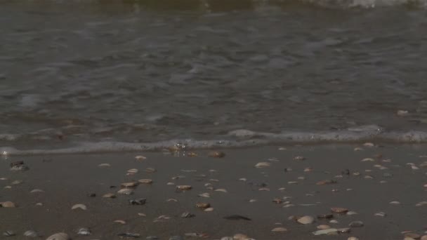 Golven op de Noordzee — Stockvideo