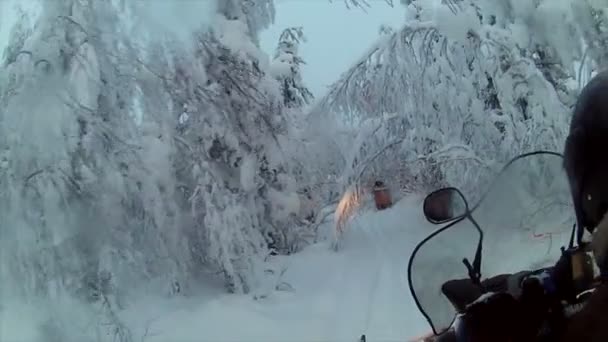 Paseo turístico en motos de nieve — Vídeos de Stock