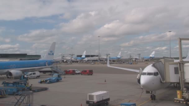 Ala de avión en el cielo con nubes — Vídeo de stock