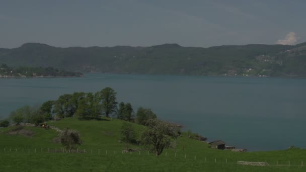 Norwegia pandangan fjordslake — Stok Video