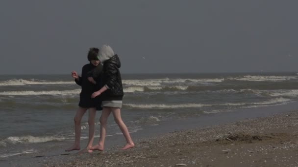 Mouettes à la plage de la mer du Nord — Video