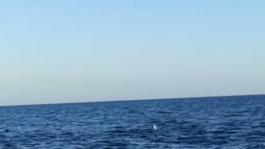 Muhteşem panoramik deniz manzarası