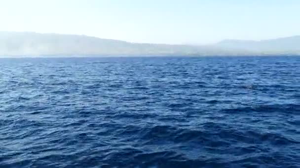 Geweldige panoramische zeegezicht — Stockvideo