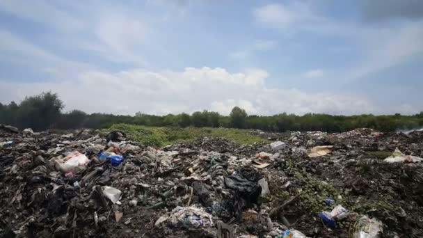 Eliminação Resíduos Lixo Ilha Lembongan Bali — Vídeo de Stock