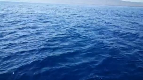 Морський пейзаж з людьми на човні — стокове відео