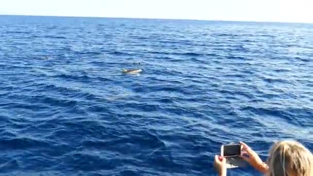 Paisaje marino con gente en barco — Vídeos de Stock