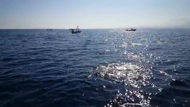 Geweldige panoramische zeegezicht met boten — Stockvideo