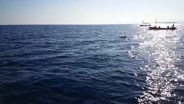 ボートで素晴らしいパノラマ シースケープ — ストック動画