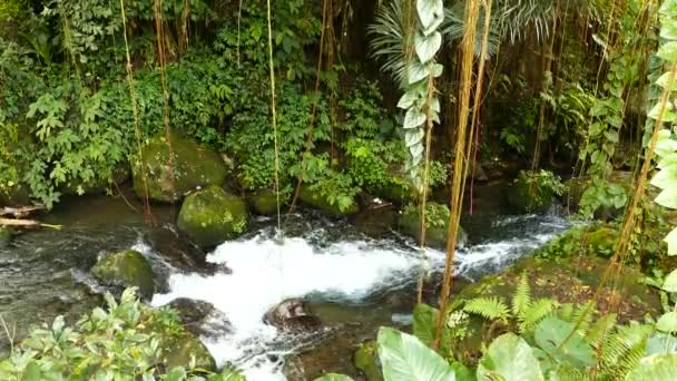 Luftaufnahme Eines Großen Wasserfalls Dschungel Von Bali — Stockvideo