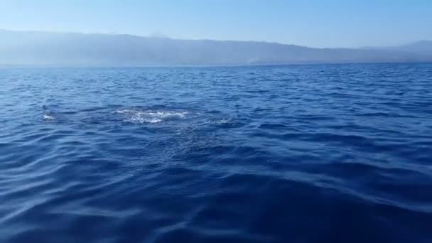 Increíble paisaje marino panorámico — Vídeo de stock