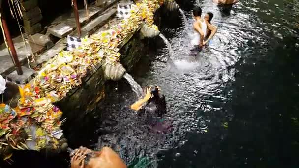Неопознанные Балийские Семьи Приходят Священным Источникам Воды Храм Тирта Эмпул — стоковое видео