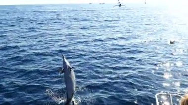 Muhteşem panoramik deniz manzarası