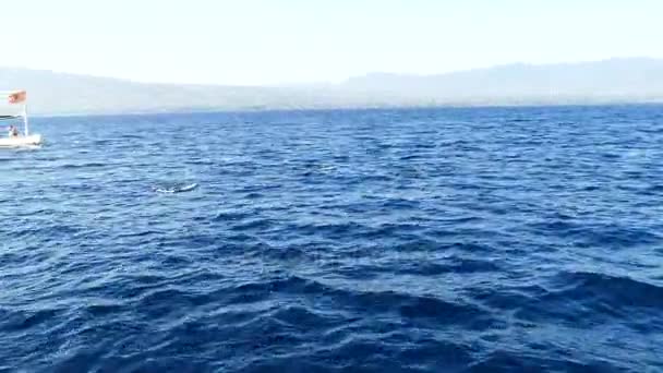 Paisaje marino con gente en barco — Vídeo de stock