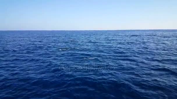 ボートに乗って人々 と海の風景 — ストック動画