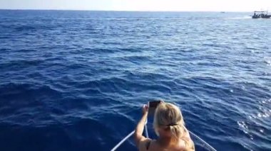 Sarışın Avrupa kadın yunuslar tekne önünde üzerinden Mobil fotoğraf çekmek