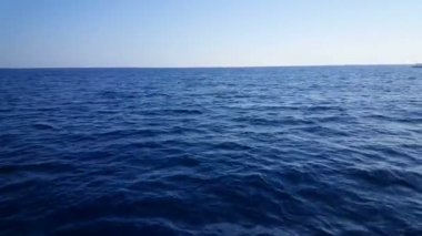 Sarışın Avrupa kadın yunuslar tekne önünde üzerinden Mobil fotoğraf çekmek
