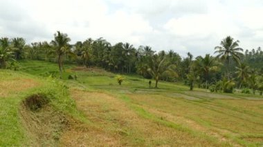 Bali, inanılmaz bir manzara güzel gününde hava görüntüleri.