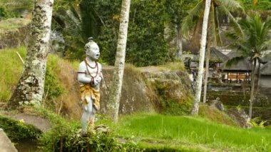 Desa Pakraman pirinç tarlasındaki heykel, Bali, Endonezya