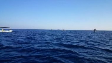 Geleneksel balıkçı tekneleri Bali deniz üzerinde Yunuslar için bekliyor